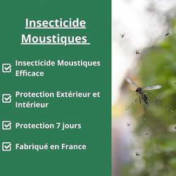 INSECTICIDE MOUSTIQUES ACTION CHOC