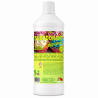 DETERGENT SURODORANT SWEET CUPCAKE