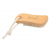 BROSSE A ONGLES AVEC LIEN