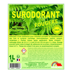 DETERGENT SURODORANT FOUGERE