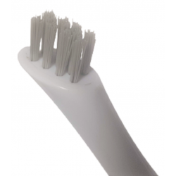 Fibres dures