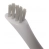 Fibres dures