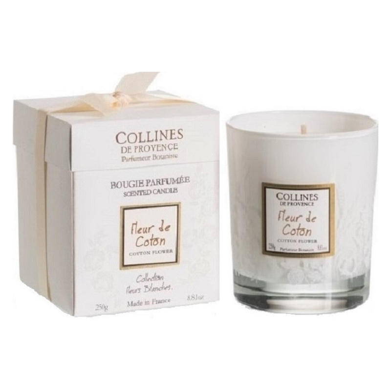 COLLECTION FLEURS BLANCHES