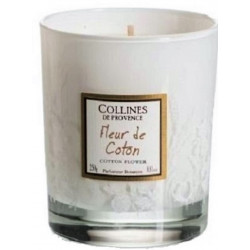 COLLECTION FLEURS BLANCHES