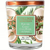 COLLECTION VOYAGE AUX ILES