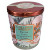 COLLECTION VOYAGE AUX ILES