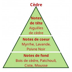 RECHARGE BOUQUET PARFUME COLLINES