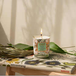 COLLECTION VOYAGE AUX ILES