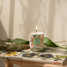 COLLECTION VOYAGE AUX ILES