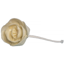 FLEURS POUR DIFFUSION