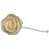 FLEURS POUR DIFFUSION