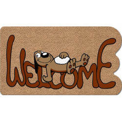 TAPIS TYPE COCO 40 X 70