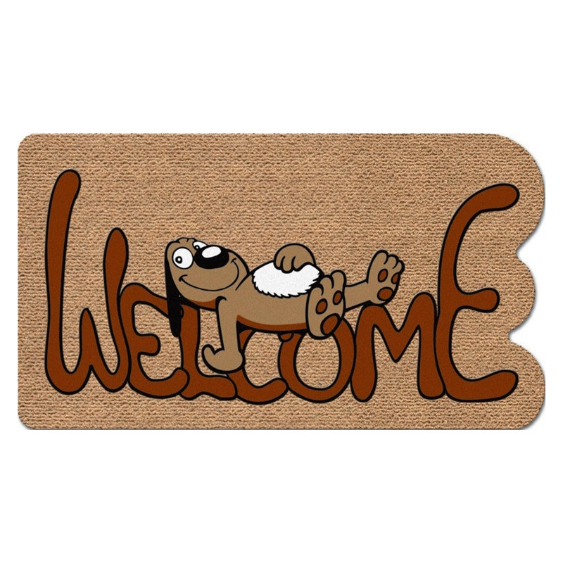 TAPIS TYPE COCO 40 X 70