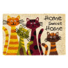 TAPIS COCO DECO 40X60