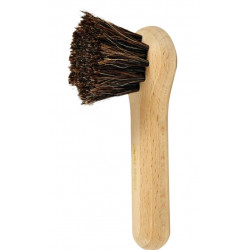 BROSSE A CHAMPIGNON