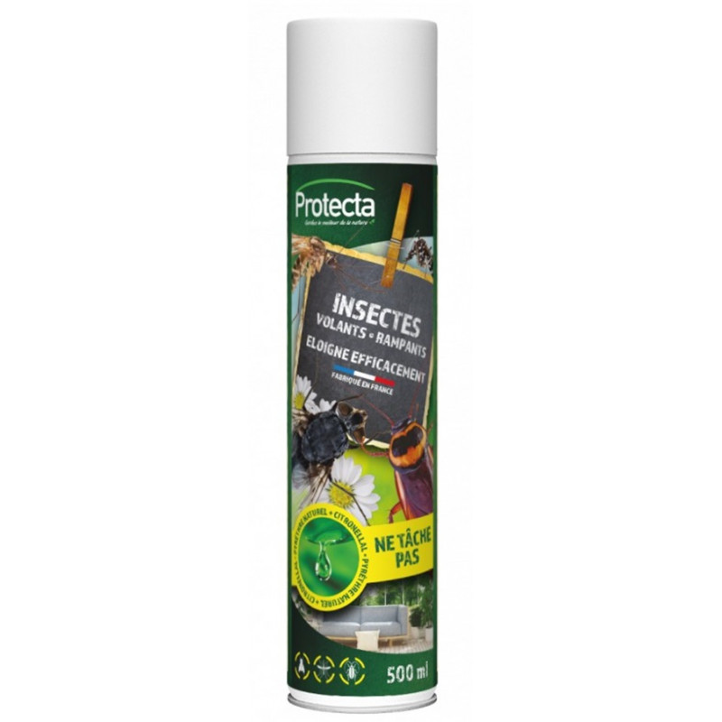 INSECTES VOLANTS RAMPANTS