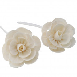FLEURS POUR DIFFUSION