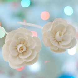 FLEURS POUR DIFFUSION
