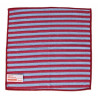 LAVETTE MICROFIBRE GRATTANTE