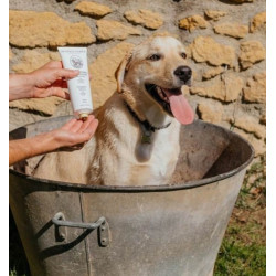 SHAMPOOING CHIEN