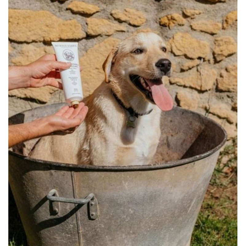 SHAMPOOING CHIEN