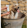 SHAMPOOING CHIEN