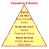 RECHARGE POUR DIFFUSEUR NOMADE