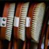 BROSSE DE BAIN BOIS DE POIRIER