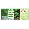 BOUQUETS PARFUMES