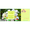 BOUQUETS PARFUMES
