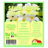 SAVON MAIN PARFUME