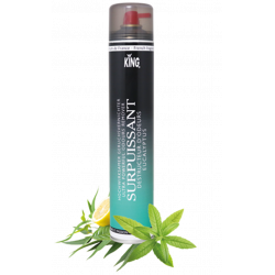 DESODORISANT KING gros jet