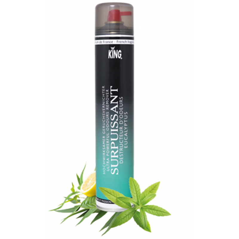 DESODORISANT KING gros jet