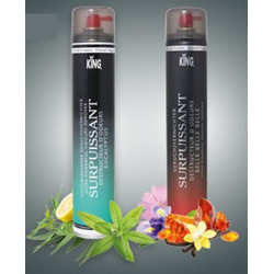 DESODORISANT KING gros jet