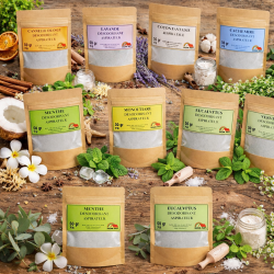 DESODORISANT ASPIRATEUR