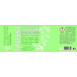 NETTOYANT SOLIDE NATUREL PUR'ESSENCE MENTHE GRENADE
